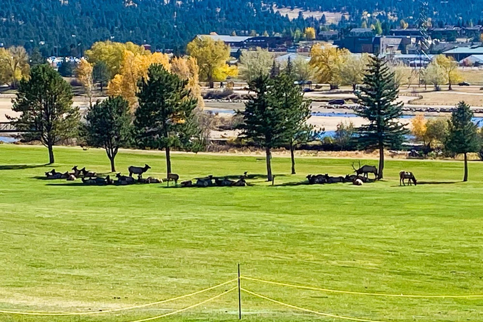 Fairways & 14Ers Villa Естес Парк Екстериор снимка